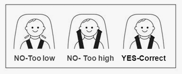 R for Rabbit Picaboo Infant Carrycot Cum Car Seat view 6